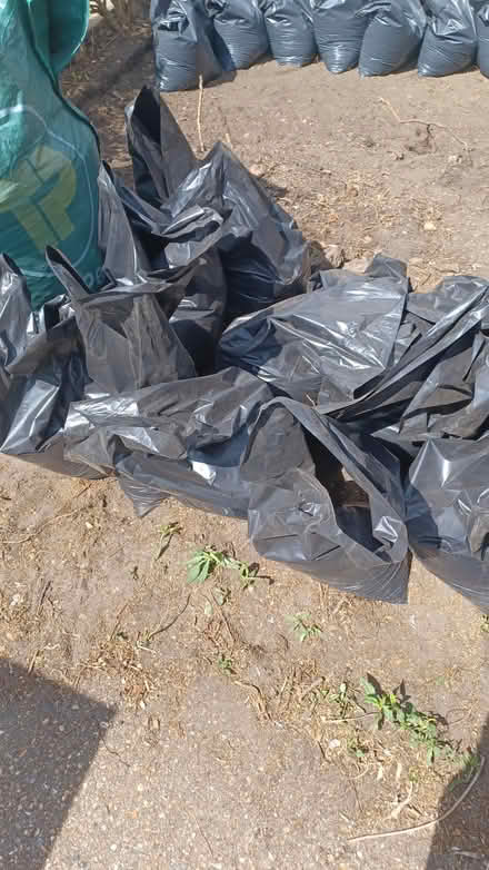 Photo of free excavated garden soil (SW15) #2