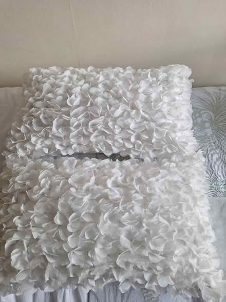 Photo of free Cushions (Royal Leamington Spa CV32) #2