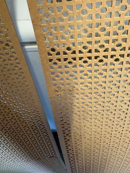 Photo of free 2 Ashford Screening Panels (Hixon ST18) #3