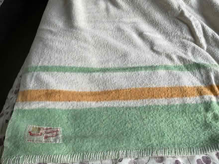 Photo of free Woollen blanket (West Hill TN34) #2