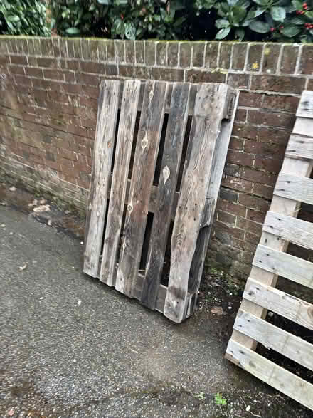 Photo of free 3 wooden pallets (St Leonards Green TN38) #3