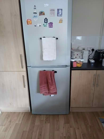 Photo of free Fridge Freezer (Shifnal TF11) #3