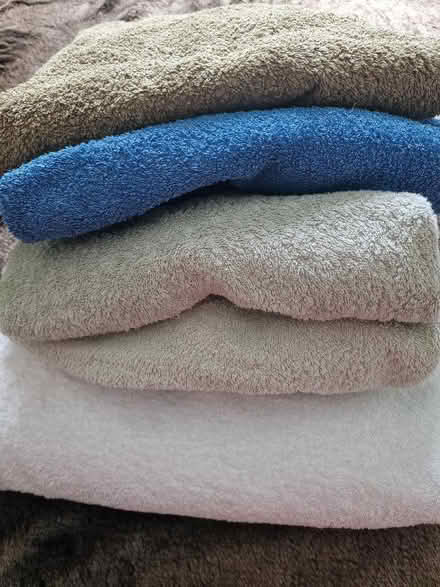 Photo of free 5 large clean barely used bath towels (Linden GL1) #1