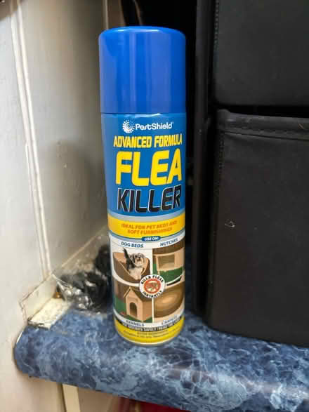Photo of free Flea spray (BS3 bedminster) #1