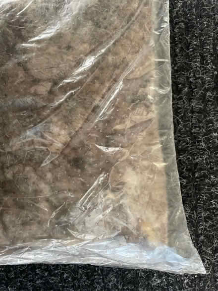 Photo of free Lamb’s wool for packing (Oakworth) #2