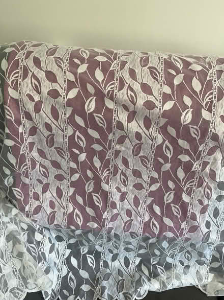 Photo of free Net curtain (Waterlooville) #1