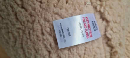 Photo of free Teddy cuddle cushion (Wheatley DN2) #3