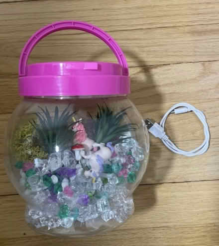 Photo of free Terrarium toy (Livingston) #1