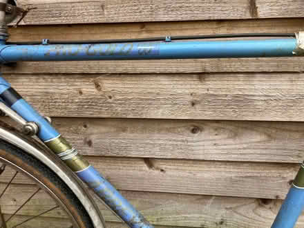 Photo of free Abbey Pro Gold 10 speed racing bike (Ash Green GU12) #2