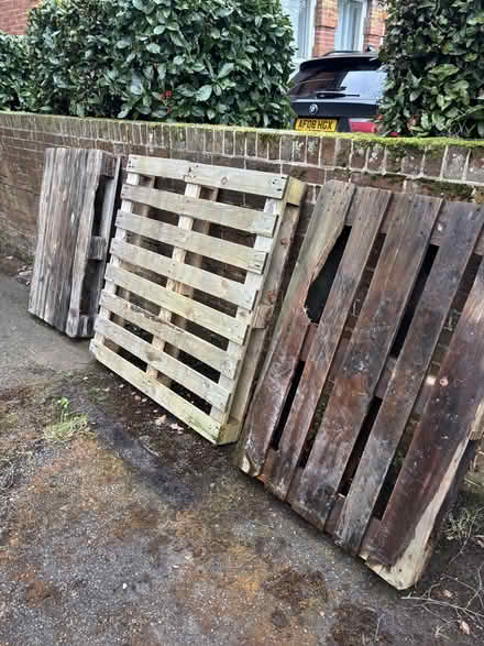 Photo of free 3 wooden pallets (St Leonards Green TN38) #1