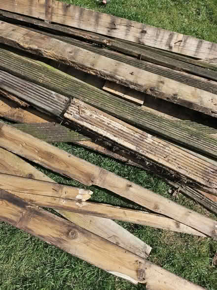 Photo of free Wood (Ilkeston DE7) #3