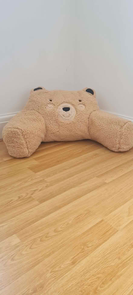 Photo of free Teddy cuddle cushion (Wheatley DN2) #1