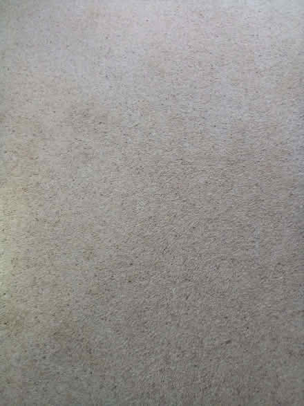 Photo of free Carpet (Middleton MK10) #2