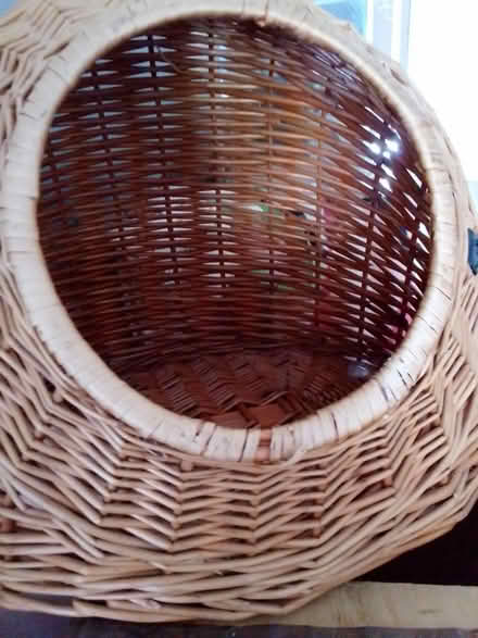 Photo of free Cat basket (Home PO15) #1