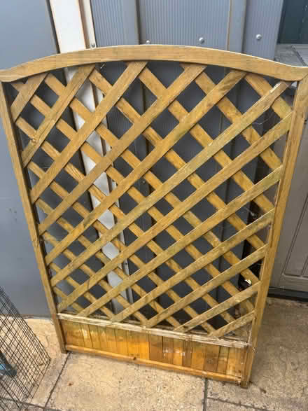 Photo of free Large piece of trellis (Newport Pagnell MK16) #1