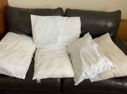 Photo of free 5 Pillows (Wormbridge HR2) #2