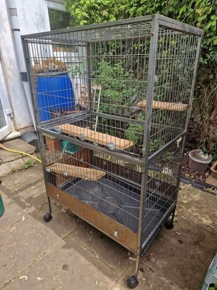 Photo of free Chinchilla/bird cage (Cainscross GL5) #1