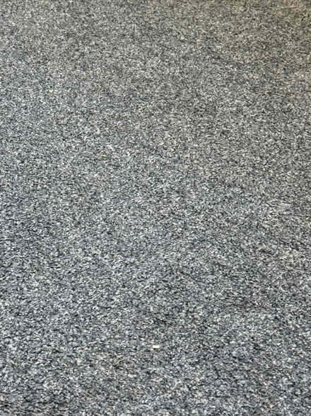 Photo of Carpet and Carpet Underlay (Roath CF24) #1