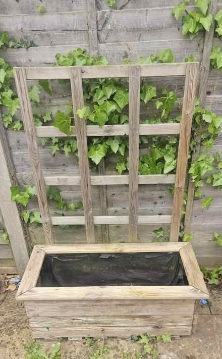 Photo of free Planter with trellis (Rushden) #1