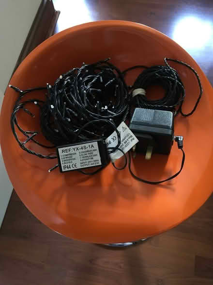 Photo of free Fairy lights-blue (Hailsham BN27) #2