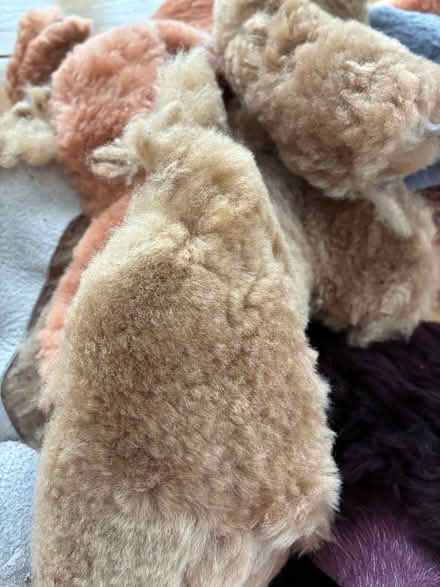 Photo of free Scraps of sheepskin (MK416HB) #3