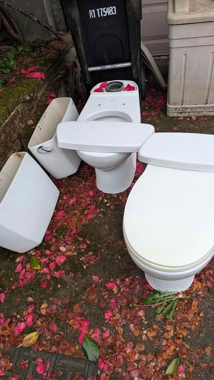 Photo of free Toto round toilets (Matthews Beach) #1