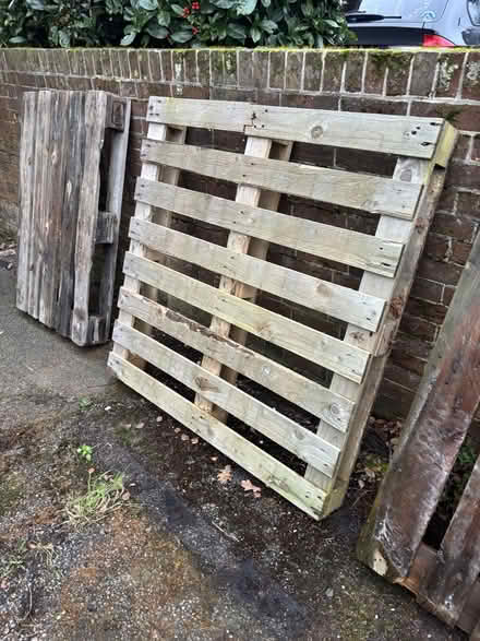 Photo of free 3 wooden pallets (St Leonards Green TN38) #2