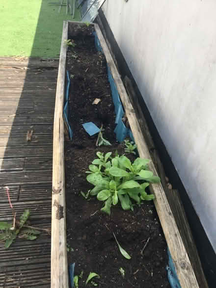 Photo of free Soil (Altrincham 2DP) #1