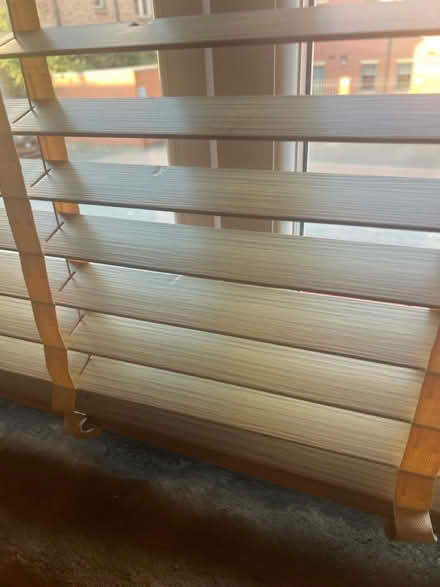 Photo of free brown blinds satisfactory (Netherthorpe S6) #4