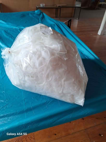 Photo of free White Goose feathers (Coquille) (Hyde GL6) #1
