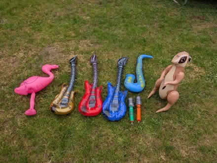 Photo of free Various inflatable instruments (Twyford RG10 9) #1