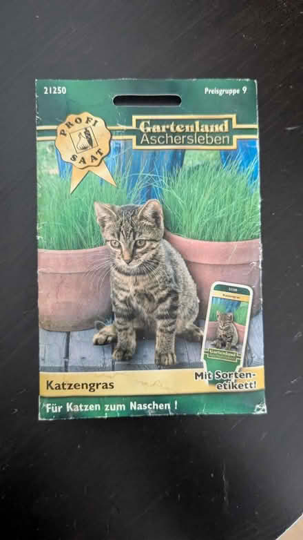 Photo of free Cat grass (CR0) #1