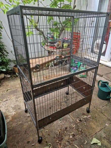 Photo of free Chinchilla/bird cage (Cainscross GL5) #2
