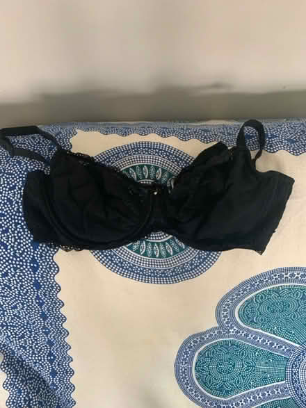 Photo of free Bra (M32) #1