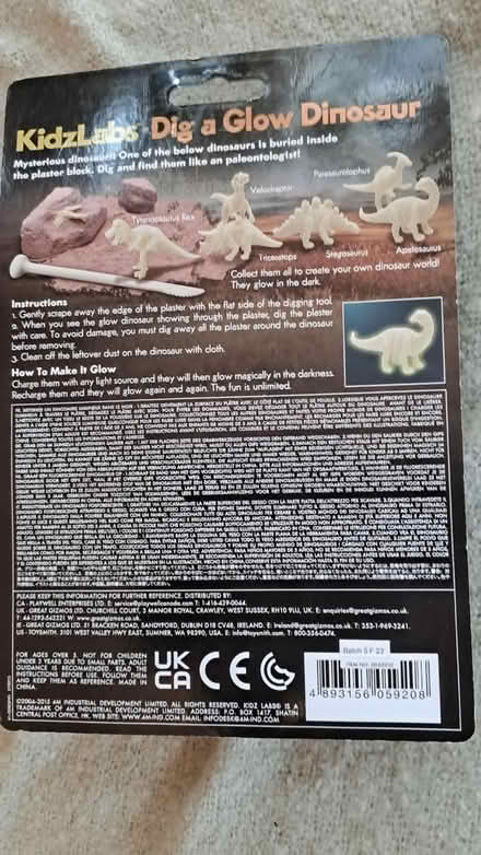 Photo of free Dinosaur to be excavated 🦖 (Bramley, Hants RG26) #2