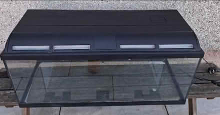 Photo of Tropical fish tank (AB16) #1