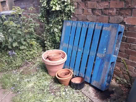 Photo of free Pots and pallet (Royal Leamington Spa CV32) #1