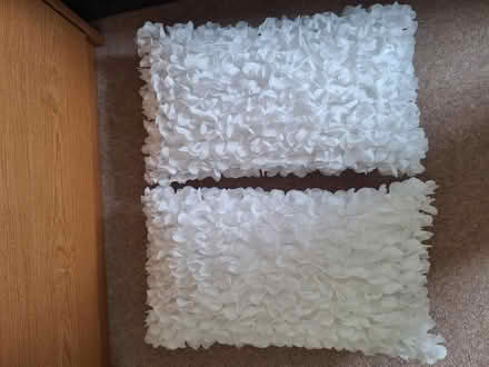 Photo of free Cushions (Royal Leamington Spa CV32) #1