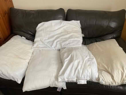 Photo of free 5 Pillows (Wormbridge HR2) #1