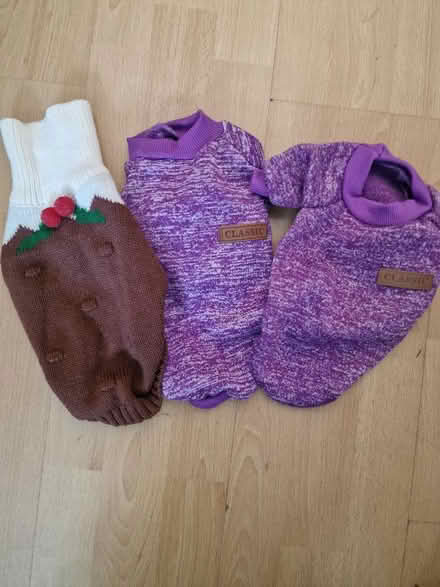 Photo of free 3 small dog coats (Linden GL1) #1