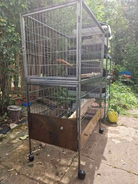 Photo of free Chinchilla/bird cage (Cainscross GL5) #3