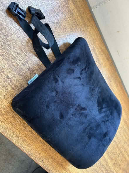 Photo of free Back support (Scholes LS15) #1