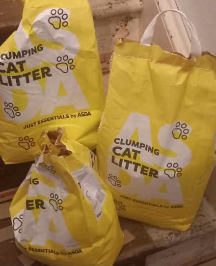 Photo of free Cat Litter (Dunfermline KY12) #1