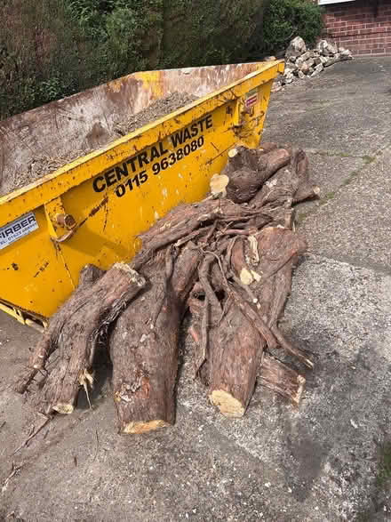 Photo of free Tree stump / root logs (Rise Park, NG5) #1