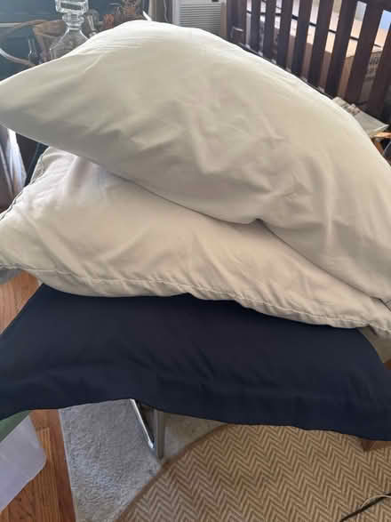 Photo of free Queen Size Pillows (Lower East Side) #1