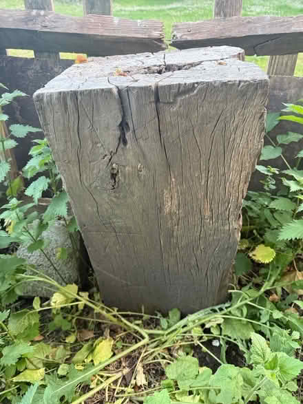 Photo of free 2 Very large solid wooden boulders (BN7) #2
