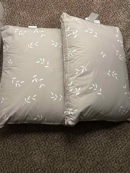 Photo of free 2 Pillows (Southwest Lubbock) #1