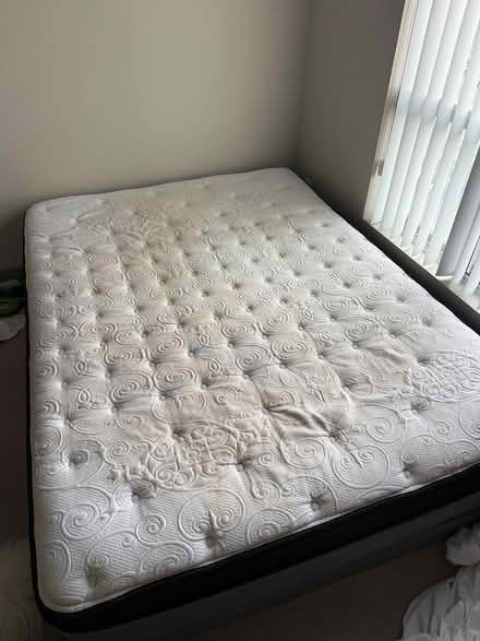 Photo of free Sealy Queen Mattress + box spring (University and On 8) #1