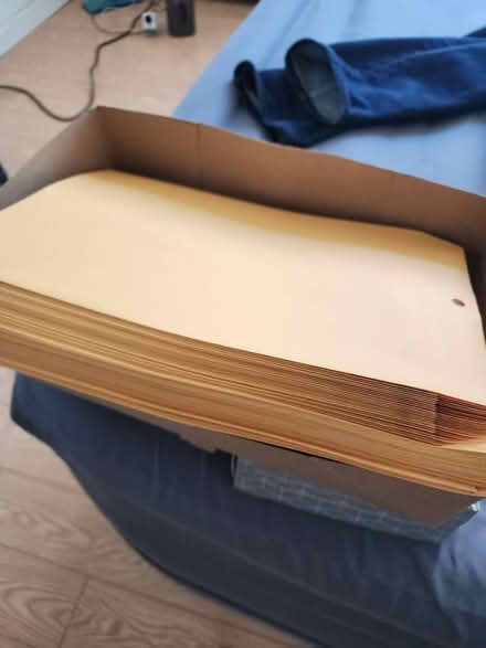 Photo of free Brown Envelopes (Flushing) #1