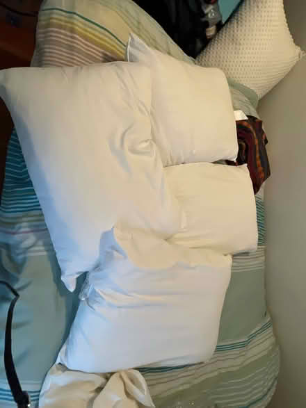 Photo of free Clean pillows- poly fill (Lower west side) #1